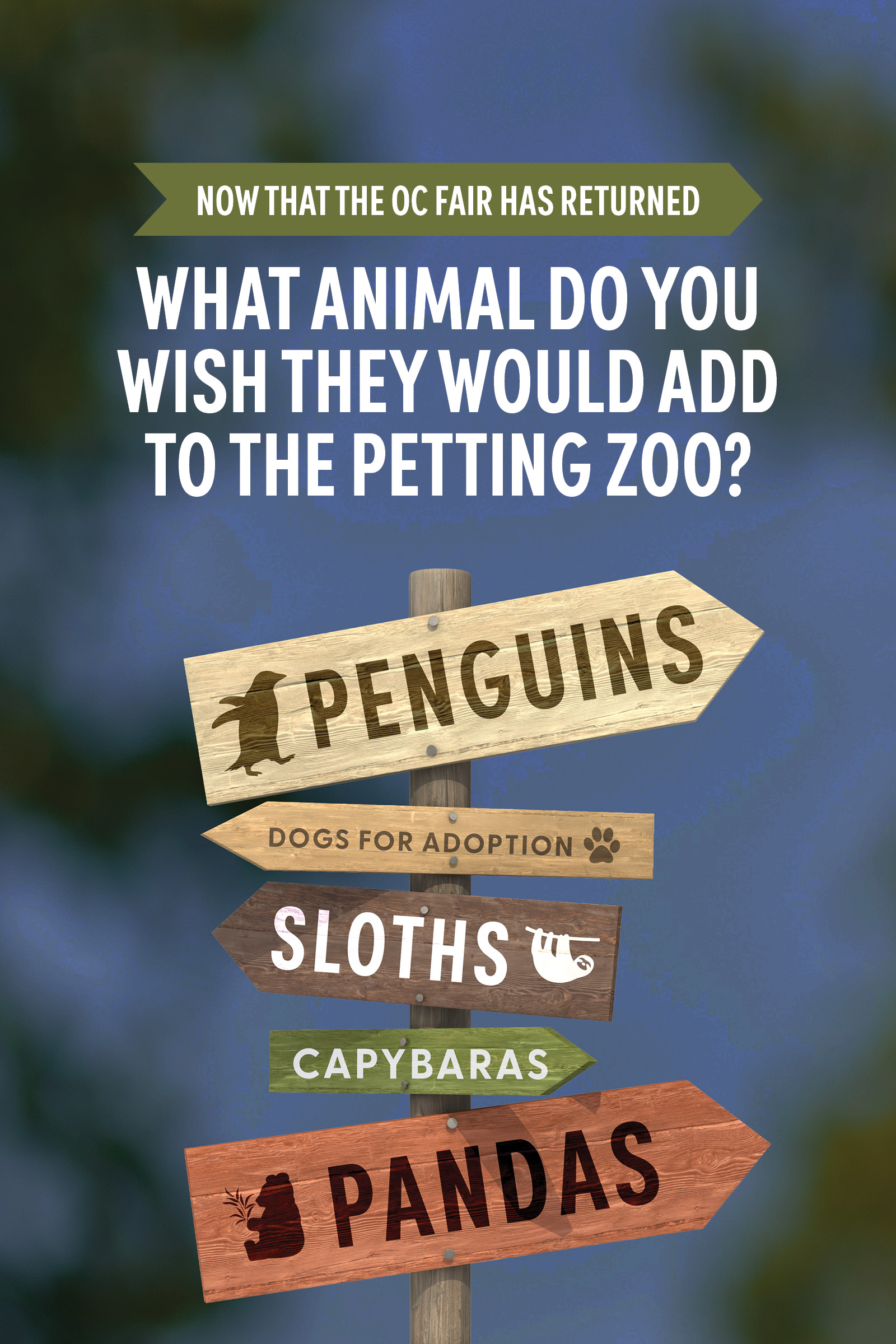 Now that the OC Fair has returned… What animal do you wish they would add to the petting zoo?